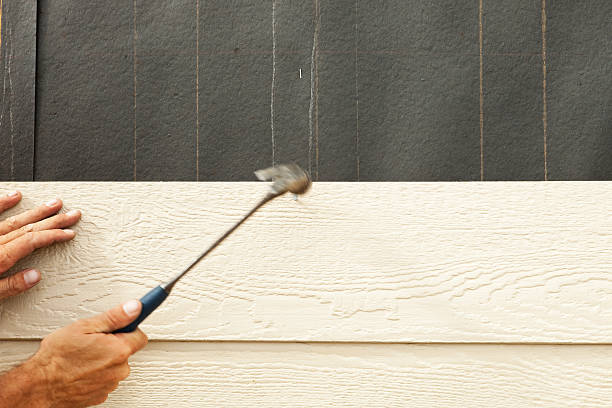 Best Siding Painting and Refinishing  in West Bishop, CA